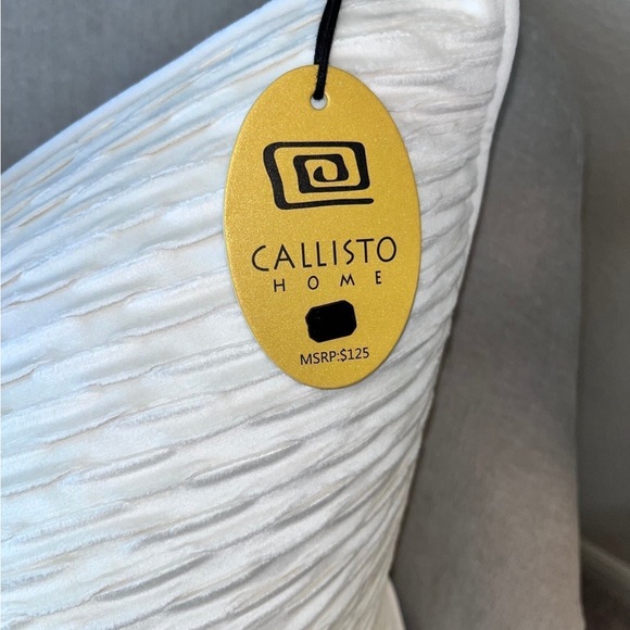 1-NWT CALLISTO HOME DECORATIVE THROW PILLOW (Read description details) - Picture 11 of 15